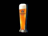 Paulaner Glas-LGP