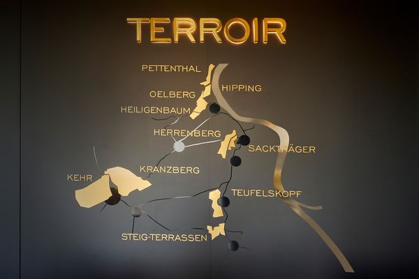 Eine großformatige Wandgrafik zeigt die verschiedenen Anbaugebiete des Weinguts als stilisierte Karte, die mittels Plotterfolie appliziert wurde. Die Wandgrafik zeigt die verschiedenen Anbaugebiete des Weinguts als stilisierte Karte, die mittels hochwertiger Plotterfolie appliziert wurde. Edle Gold-Design auf schwarzem Grund sowie die Profilschrift Terroir in Gold mit Rückbeleuchtung ist ein Blickfang.